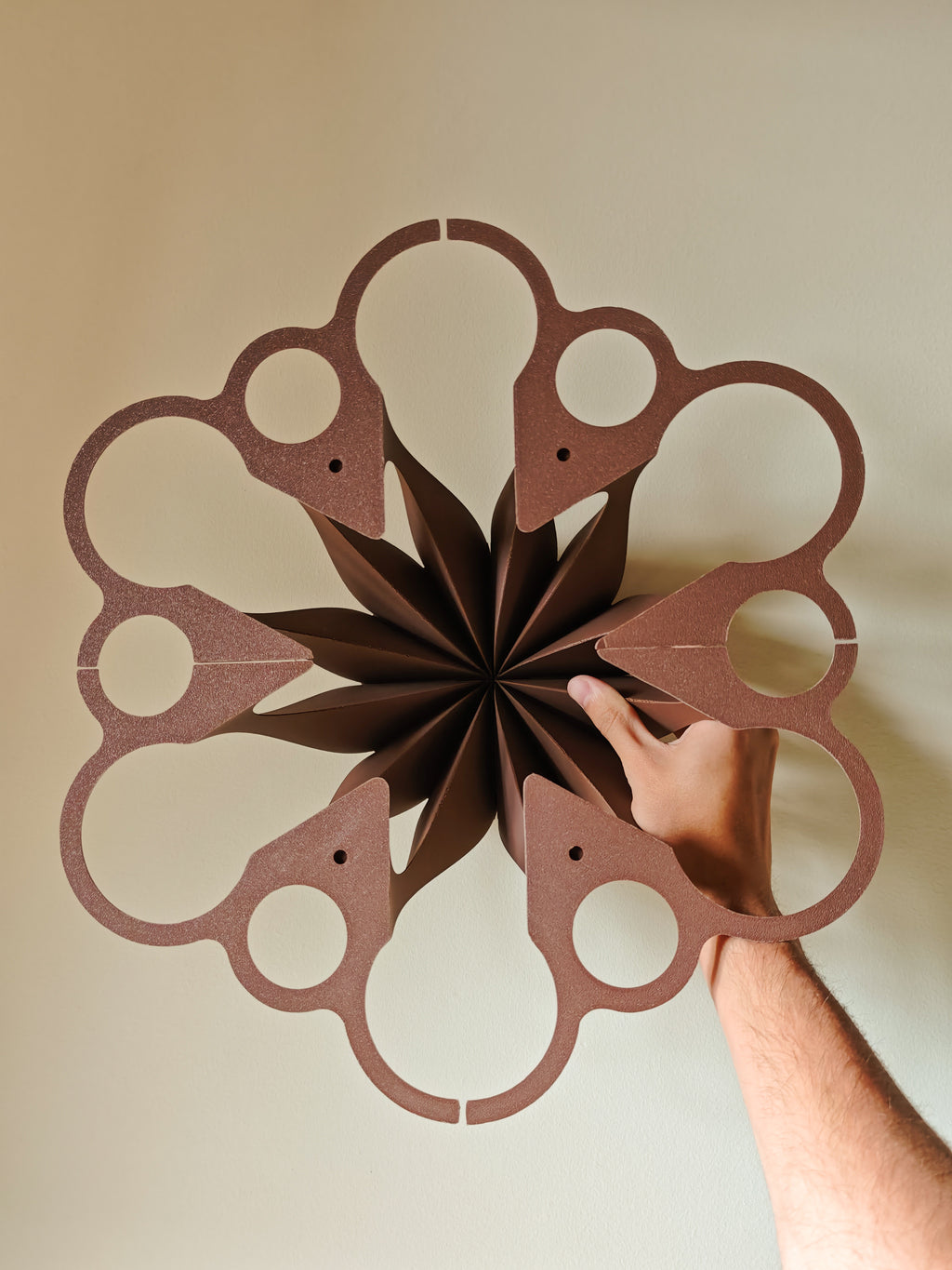 Seed To Fruit Bowl