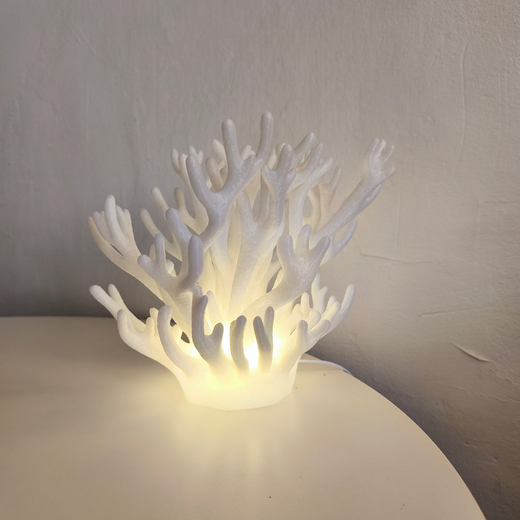 Coral Lamp