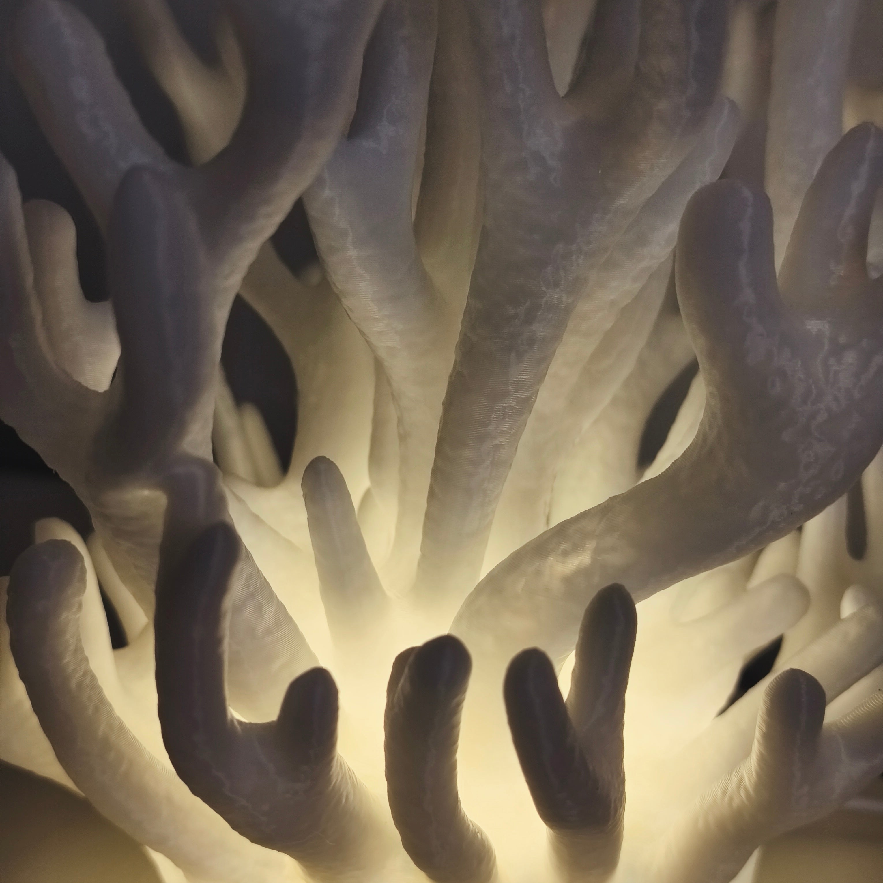 Coral Lamp