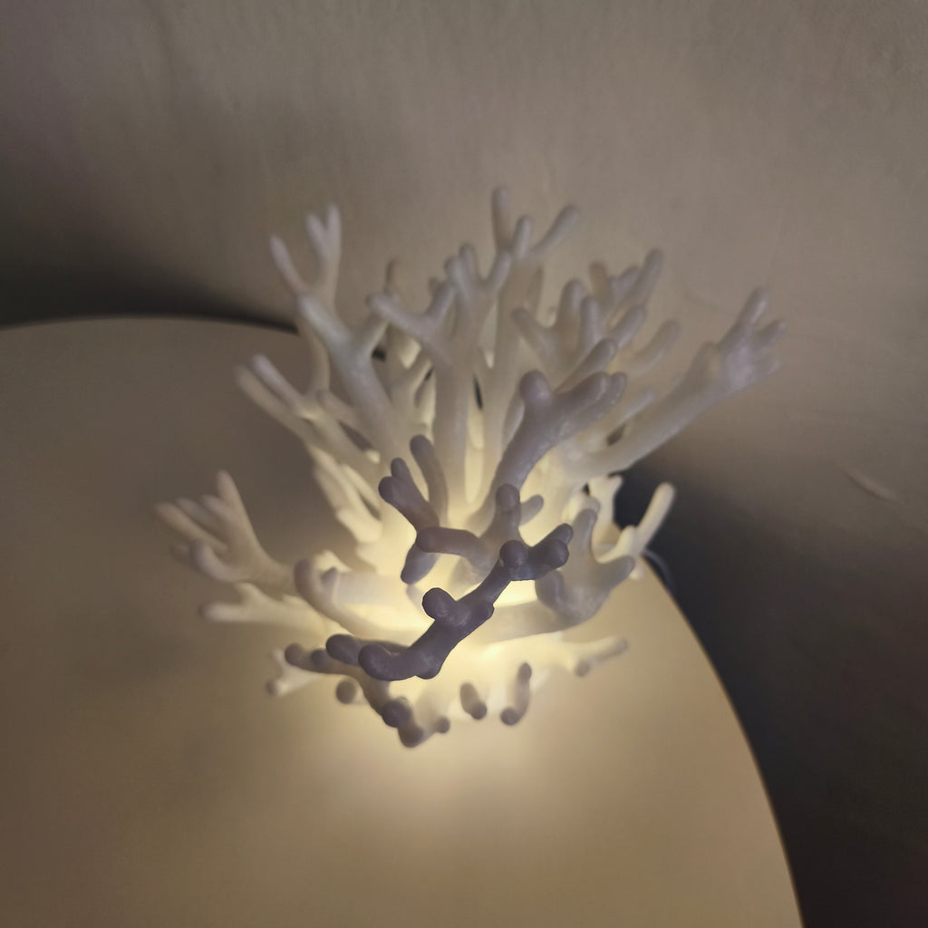 Coral Lamp